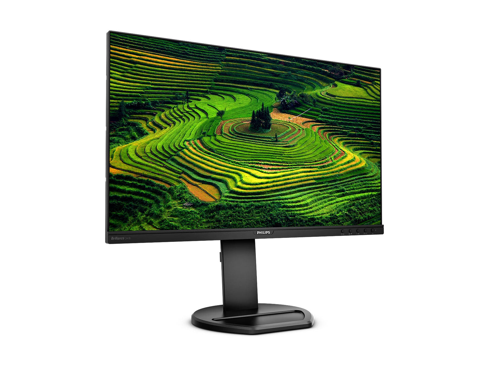 philips gear up monitor Philips 24" Full HD Monitor Review: Performance and Features