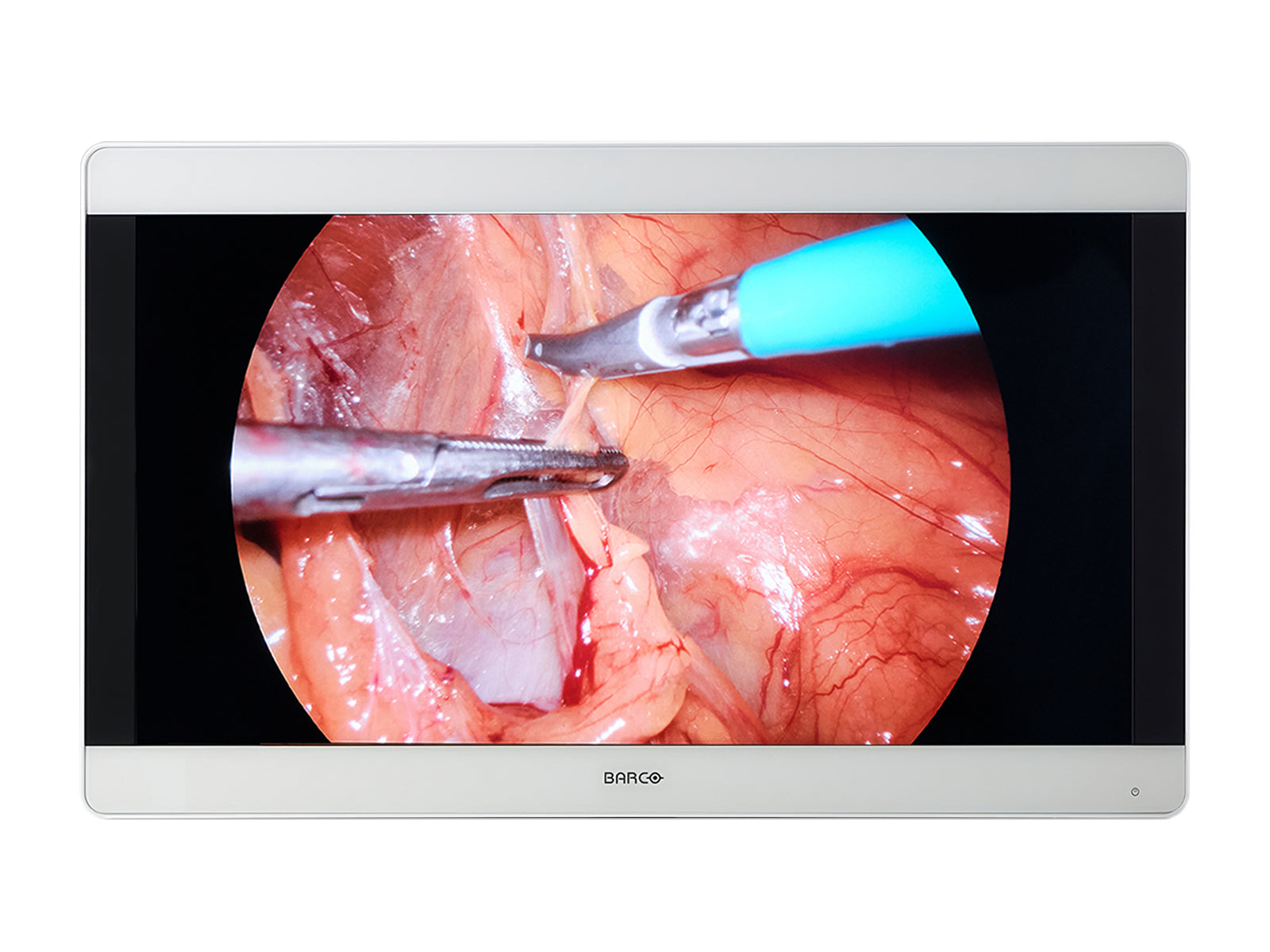 Barco MDSC-8232 Monitor de pantalla médica quirúrgica en color LED 31K de 4" (K9307922) Monitors.com