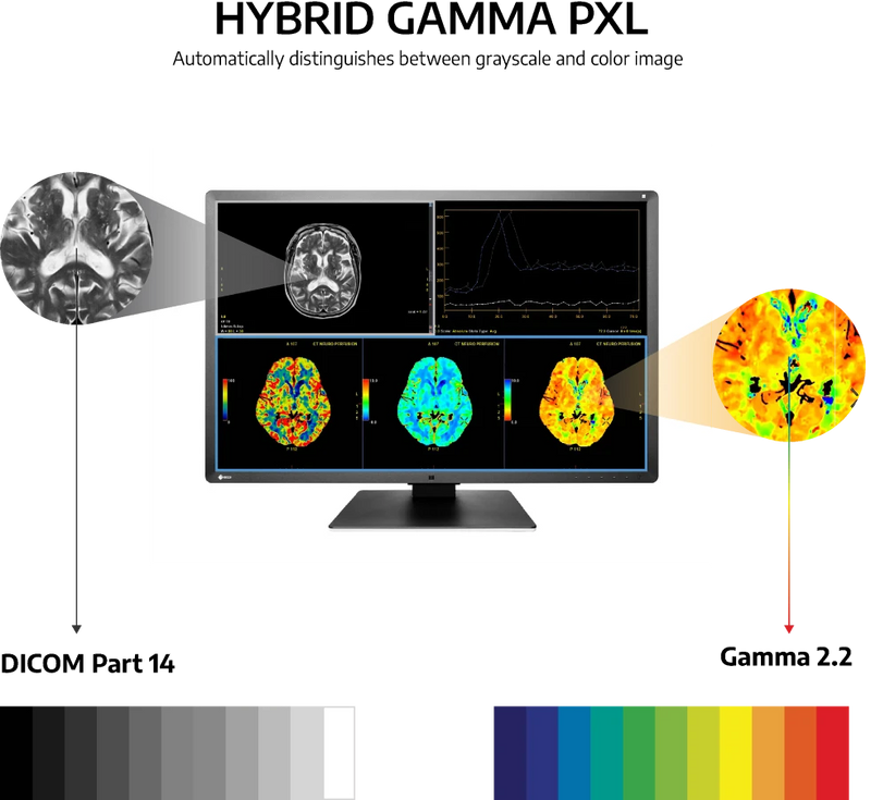 Eizo RadiForce RX660 6MP 30
