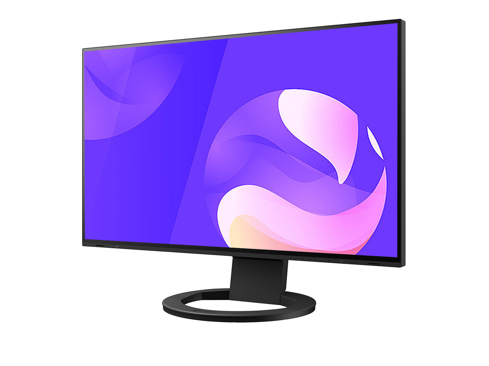Eizo FlexScan EV2495 1920 x 1200 24" Color LED Display Monitor (EV2495FX-BK)