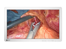 Eizo 27" FHD Surgical Display Monitor (EX2721)