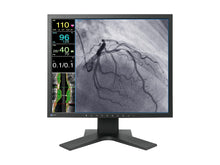 Eizo Monitor médico LCD de endoscopia quirúrgica CuratOR 19" SXGA (LX1910-S)