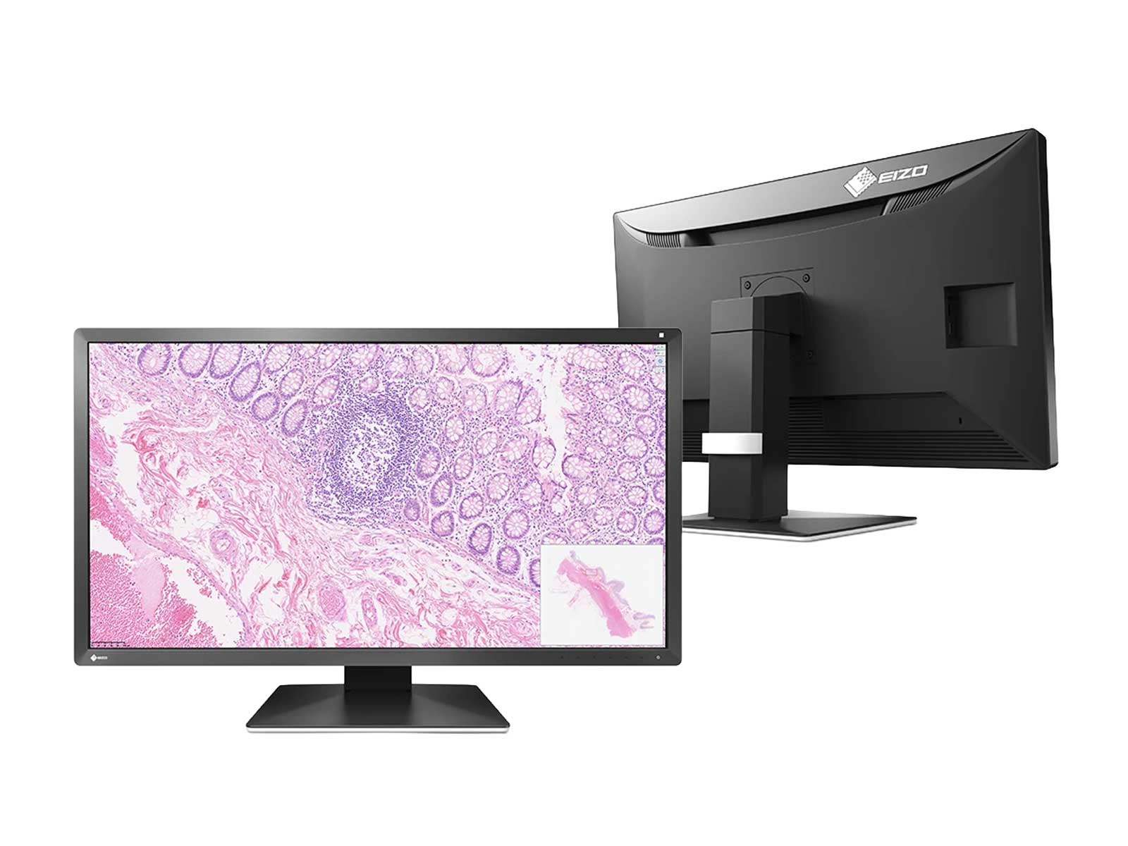 Eizo PX3150 