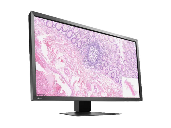 Eizo PX3150 