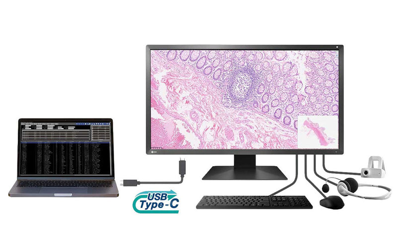 Monitors.com