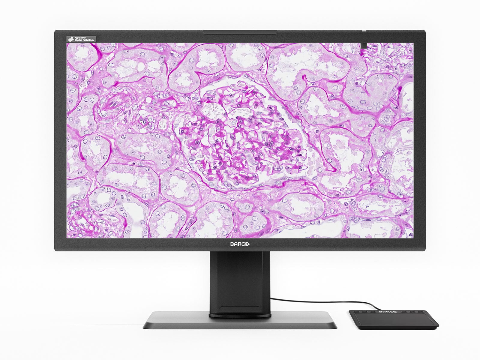Barco MDPC‑8127 8MP 27" Color LED Digital Pathology Display with MXRT-4700 (K9610269B) Monitors.com 