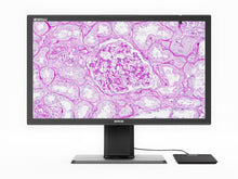 Barco MDPC-8127 8MP 27" Farb-LED-Digitalanzeige für die Pathologie mit MXRT-4700 (K9610269B)