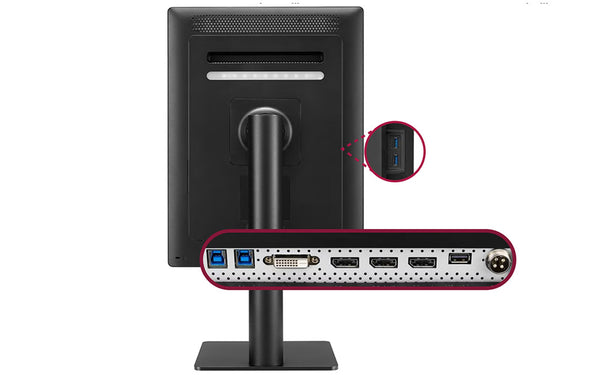 Input & Output Connectivity