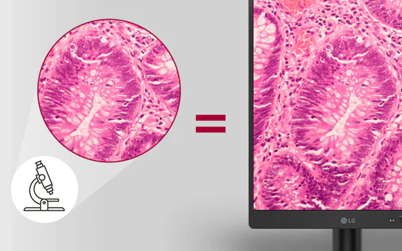 Pathology Mode – True-to-Life Color Reproduction