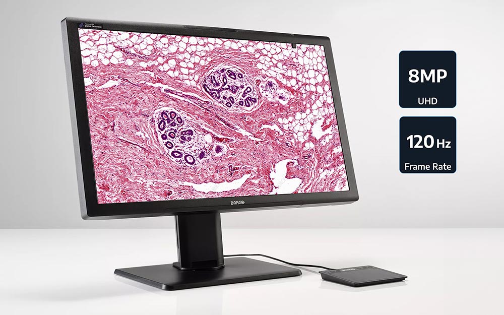Monitors.com