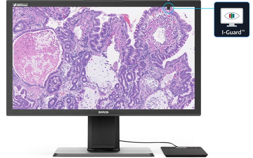 Monitors.com