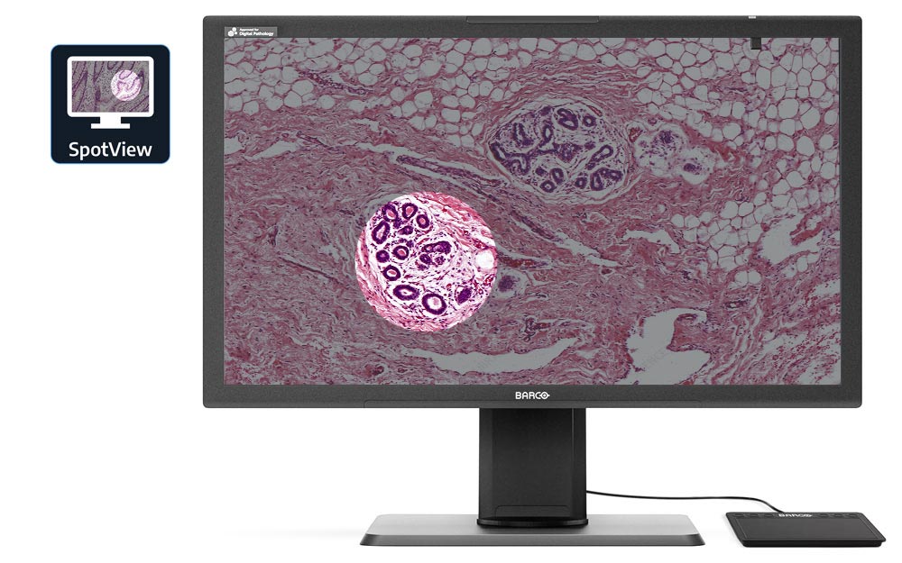 Monitors.com