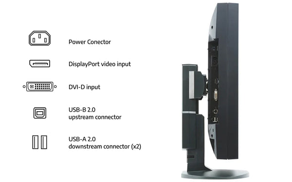 DVI & DisplayPort – High-Fidelity Digital Connectivity