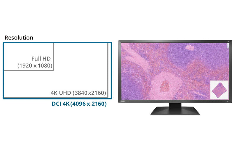 Monitors.com